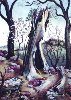 Janet Elizabeth Turner - artist photo for art wanted listing (Chicago, IL)